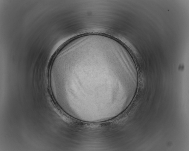 X0000091970886200710041046
