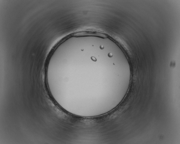X0000091970888200710041046