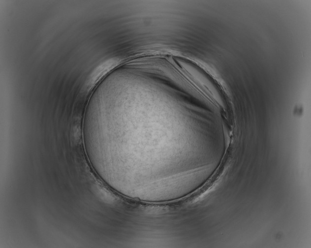 X0000091970889200710041046