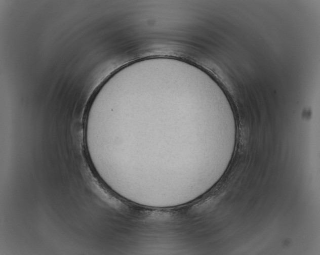 X0000091970890200710041046