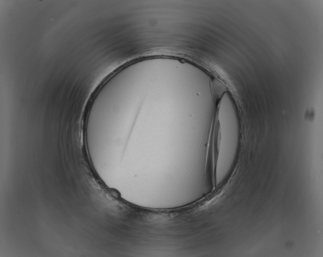 X0000091970892200710041046