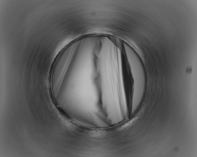 X0000091970893200710041046