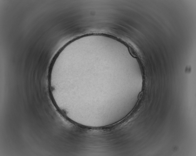X0000091970894200710041046