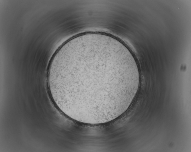 X0000091970895200710041046