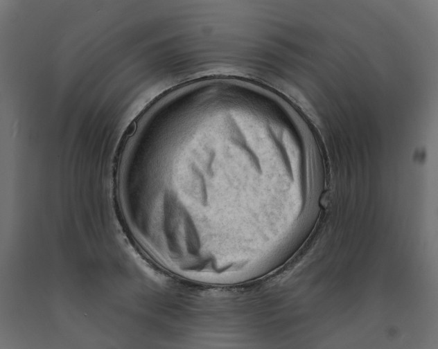 X0000091970898200710041046