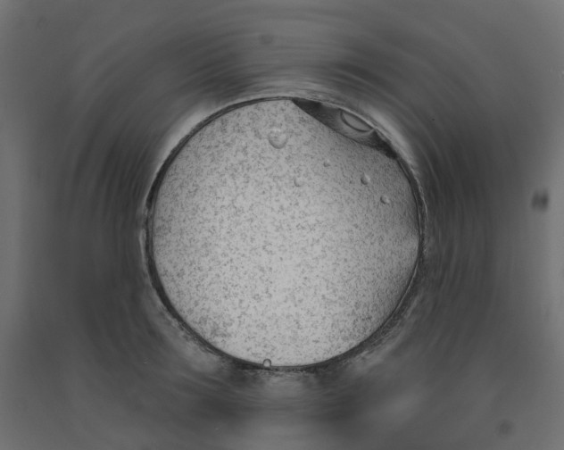 X0000091970899200710041046