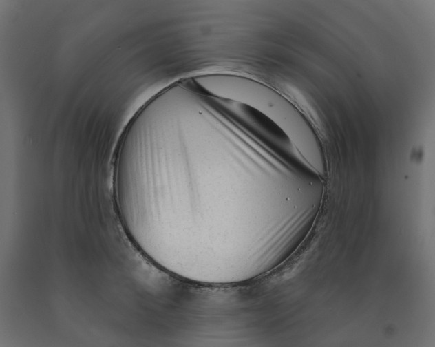 X0000091970900200710041046