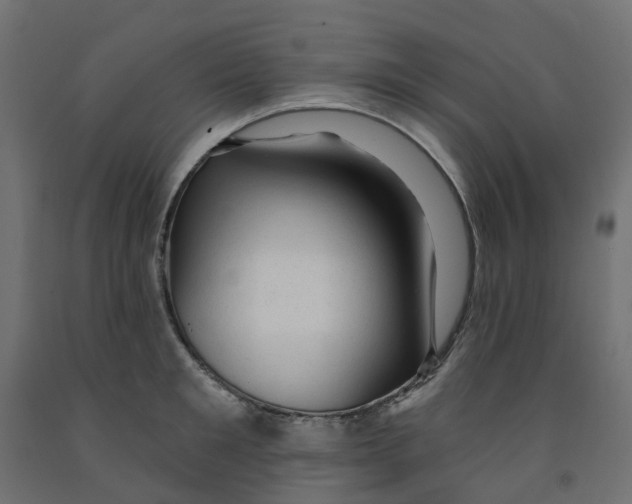 X0000091970901200710041046