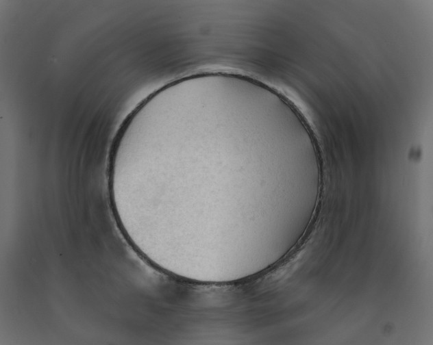 X0000091970902200710041046