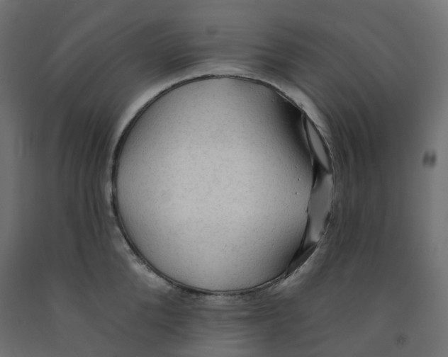 X0000091970904200710041046