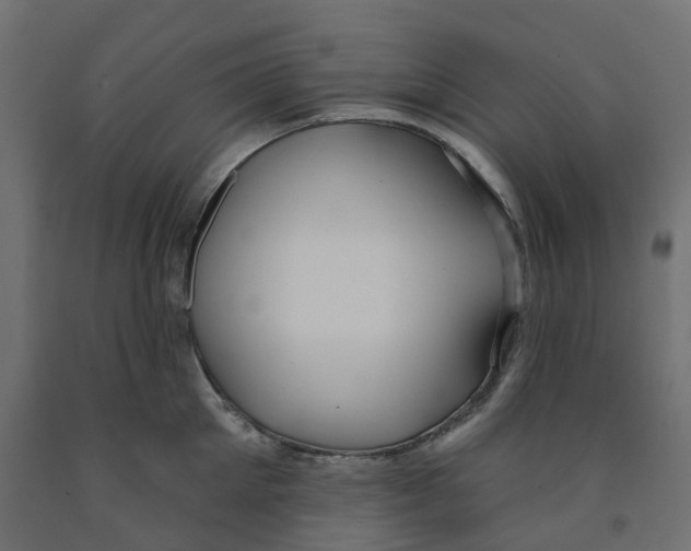 X0000091970905200710041046