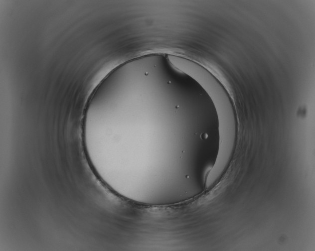 X0000091970906200710041046