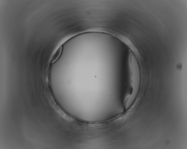 X0000091970908200710041046