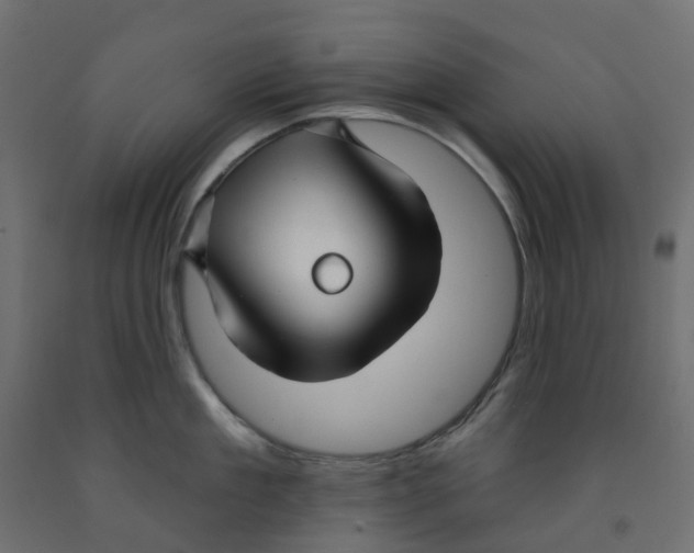 X0000091970909200710041046