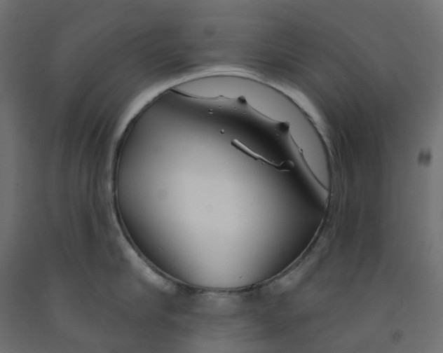 X0000091970910200710041046