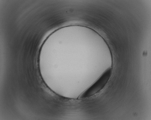 X0000091970912200710041046