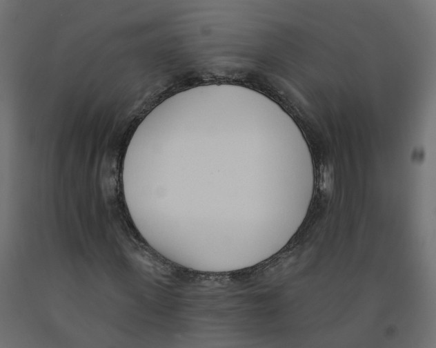 X0000091970915200710041045