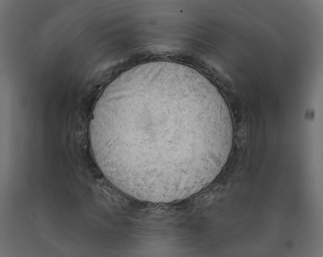X0000091970917200710041045