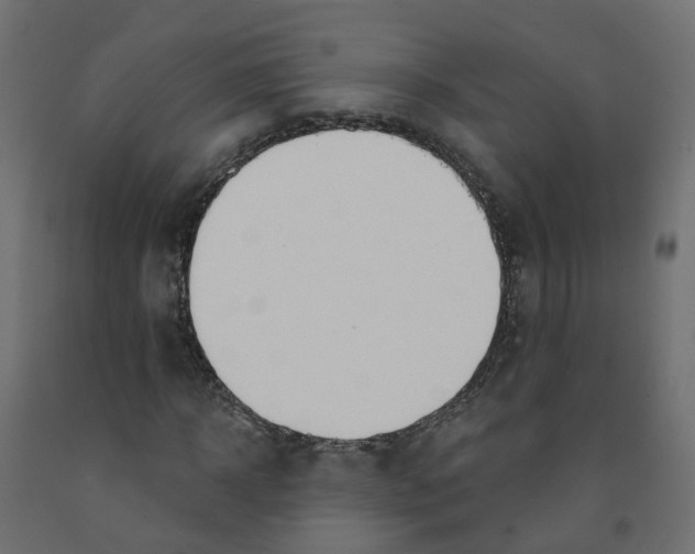 X0000091970918200710041045