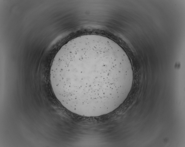 X0000091970919200710041045