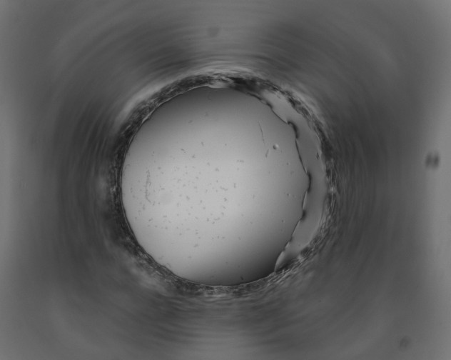 X0000091970920200710041045
