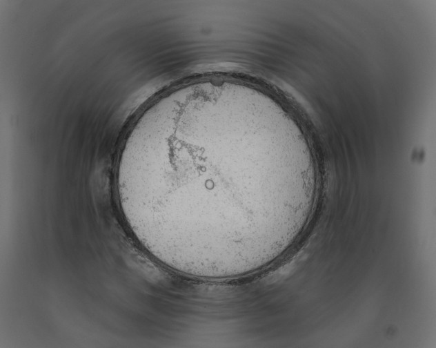 X0000091970921200710041045