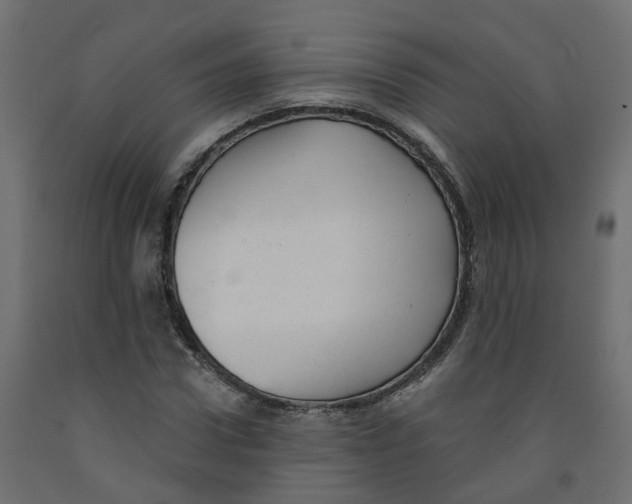 X0000091970922200710041045