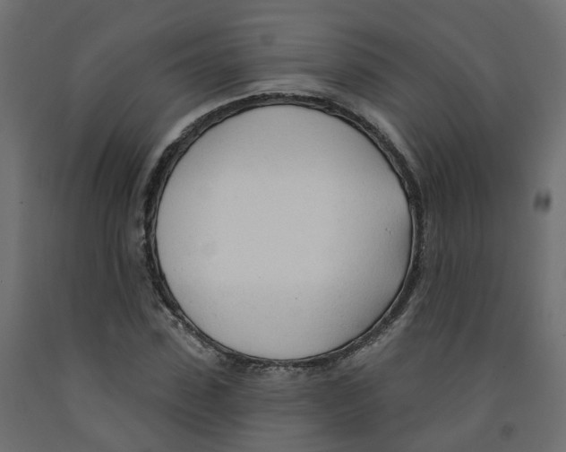 X0000091970923200710041046