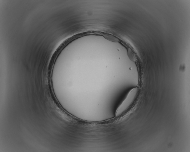 X0000091970924200710041046