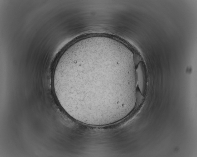 X0000091970925200710041046