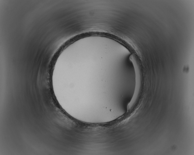 X0000091970926200710041046