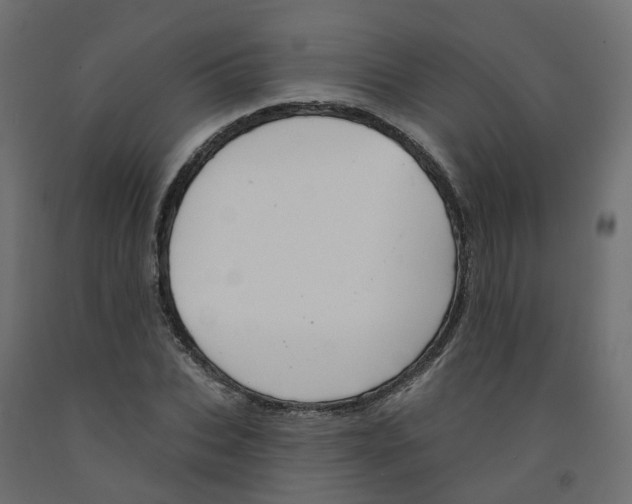X0000091970927200710041046