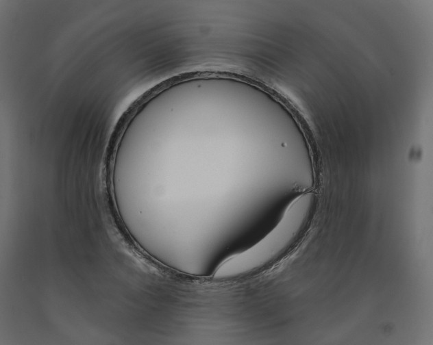 X0000091970928200710041046