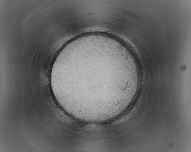 X0000091970929200710041046