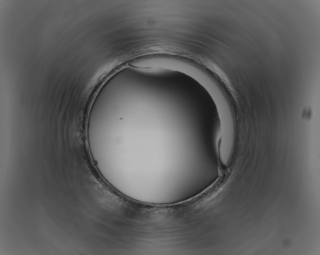X0000091970930200710041046