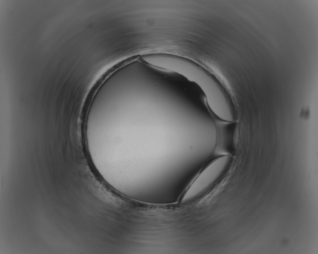 X0000091970932200710041046