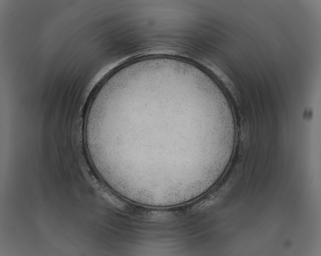 X0000091970933200710041046