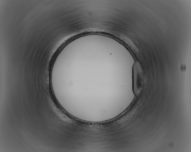 X0000091970934200710041046