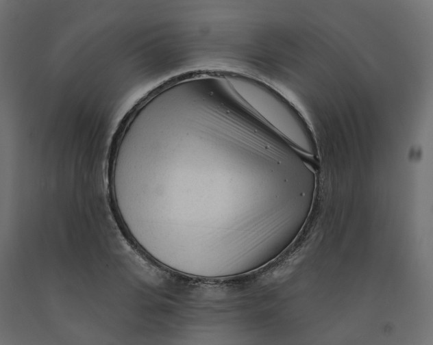 X0000091970935200710041046