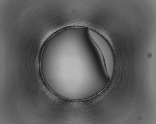 X0000091970936200710041046