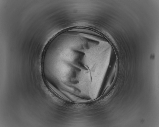 X0000091970939200710041046