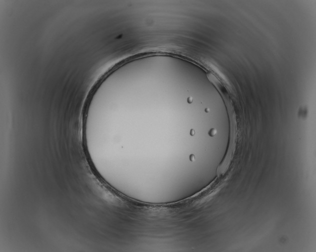 X0000091970940200710041046