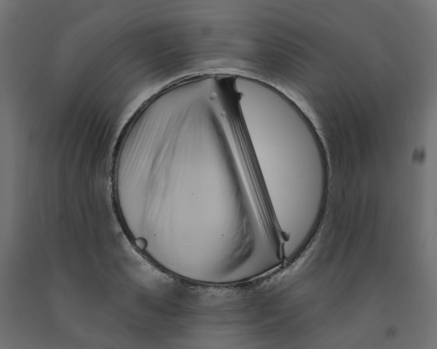 X0000091970941200710041046