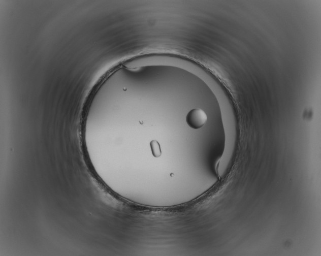 X0000091970942200710041046
