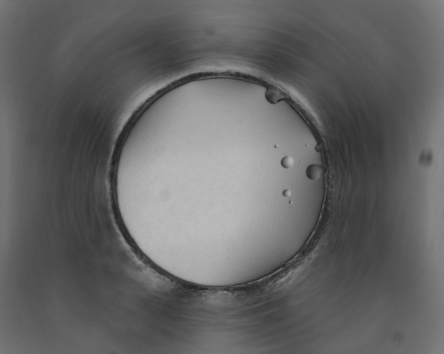 X0000091970943200710041046
