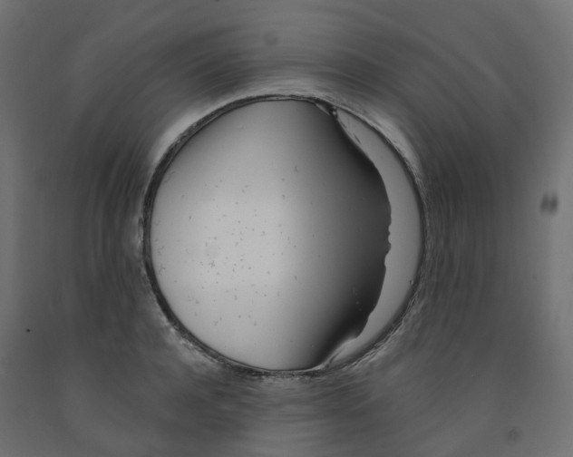 X0000091970944200710041046