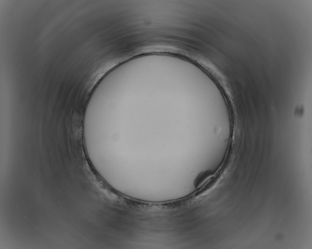 X0000091970945200710041046