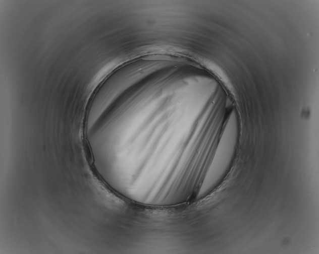 X0000091970946200710041046