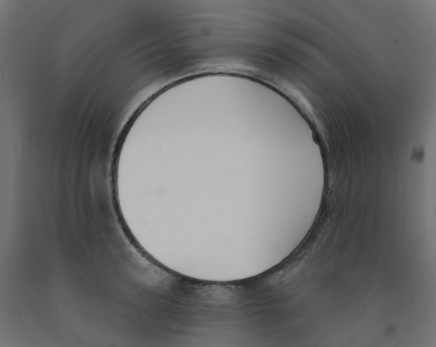 X0000091970947200710041046