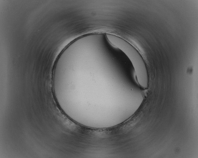 X0000091970948200710041046